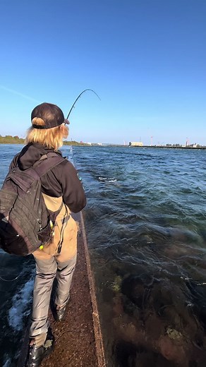 Ontario Fishing: Steelhead, Atlantic Salmon, Chinook Salmon, and Bass Fishing