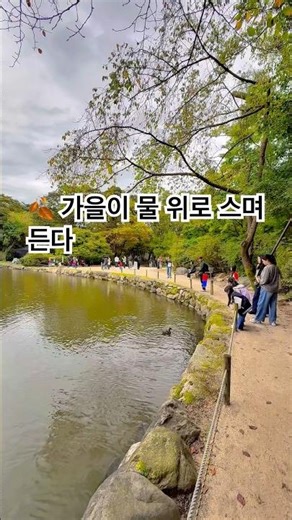 🍂 가을의 물결 위로 / On the Ripples of Autumn