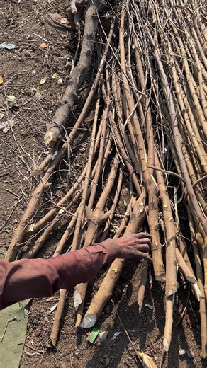 How Traditional Wooden Baskets Are Made | Handmade Basket Making Process