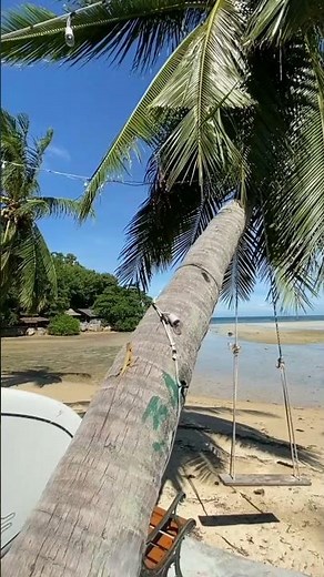 "Incredible Adventure in Amazon Rainforest | Wildlife Documentary"A view of the ocean from a deck