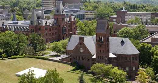 College Students Hunt, Process Bear in Campus Dorm Kitchen