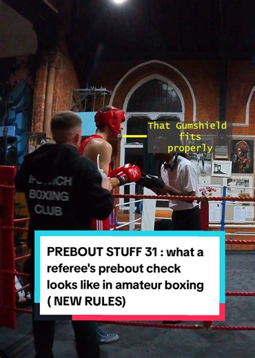 Understanding Referee Prebout Checks in Amateur Boxing