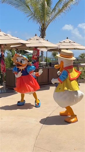 12K views · 25 reactions | Our 5-night Disney Cruise to Bahamas cost...