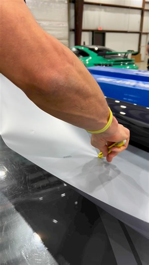 868K views · 7K reactions | Silence, professionals working with GSWF Global! 狼 | The Wrap Institute | Facebook