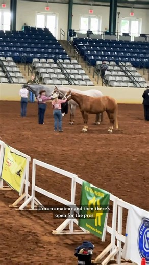 567K views · 19K reactions | What is a “halter” class? | Katie Van Slyke | Facebook