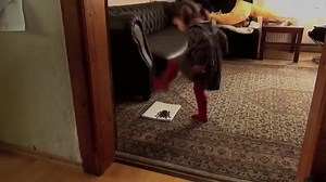 1.3M views · 40K shares | Amazing 3D art by Stefan Pabst | Ccippo | Facebook