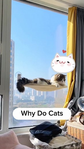 Cat window perch 2.0