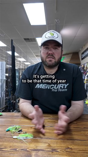 Spinnerbait Basics for Effective Bass Fishing