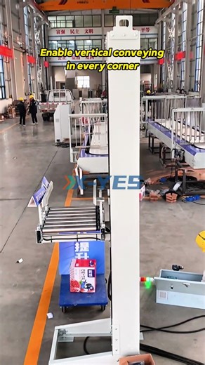 Single Column Vertical Conveyor | Low Cost Solution for Cartons (30–60 m/min, 50kg)