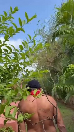 🪴 | Jackie Shroff