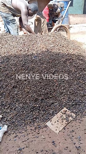 With 700k you can set up a mini palm kernel cracking business. Get your cracking machine between 350-500k. Rent a place or start from home. The machine is your business. Meet palm kernel sellers, and crack for them. Consistency wins the race here. Make more more, put it back into the business. Aim to get higher capacity machine. Be intensional about your growth, and in 6 months to one year, there will be alot of difference. #chinenyeezeonyebuchi | Chinenye Ezeonyebuchi