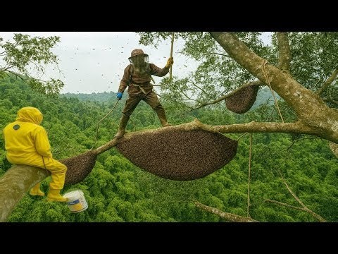 🐝 Terrifying Forest Bee Hunt: Attacked by an Angry Swarm!