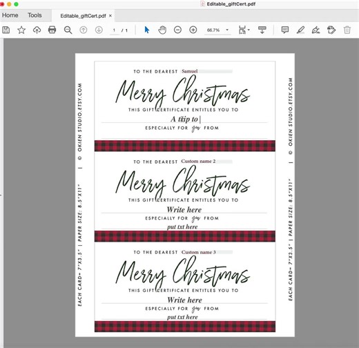 Editable Christmas Gift Certificate Template (PDF)