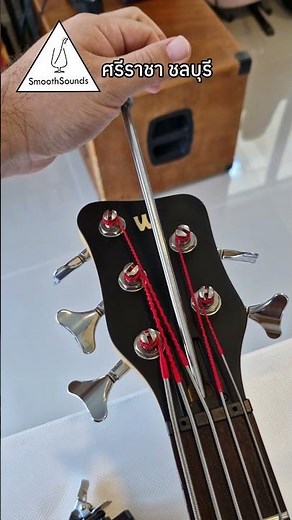 Warwick bass setup #setupbass