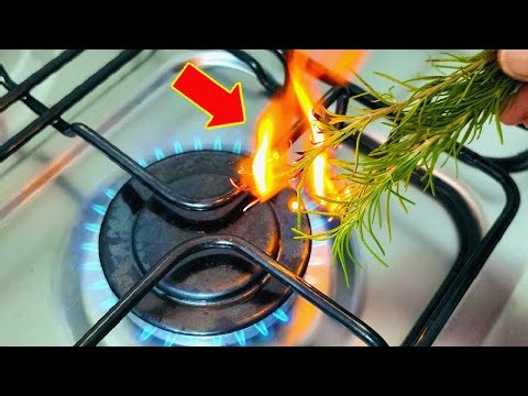 MORRIA E NÃO SABIA. Basta QUEIMAR o ALECRIM e não precisa mais gastar na farmácia