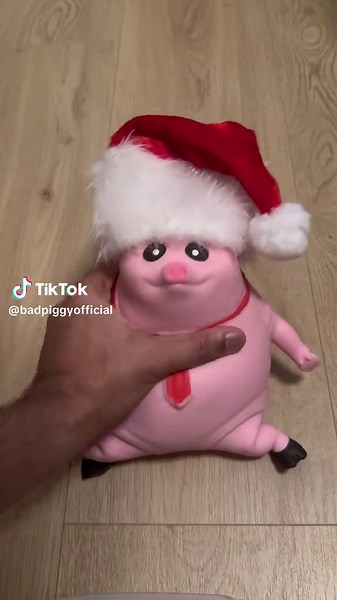 Piggyy want oatsss🐽✨