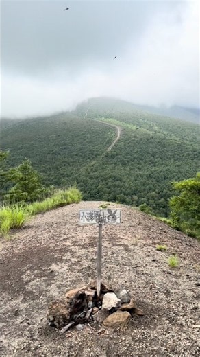 小浅間山 山頂 東峰から西峰へ Mt. Koasama from East Peak to West #shorts #登山