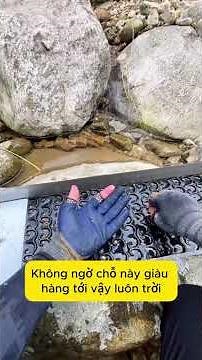 Tập 53: Đào thử 10 phút và cái kết #gold #daovang #reels #shorts