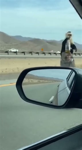 Monkeys Ride a Unicycle Beside a Car — Then Suddenly Crash