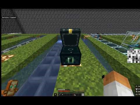 DONUT SMP DUPE GLITCH 2026 (UNPATCHED)