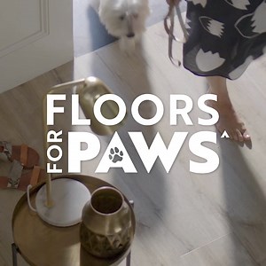 Discover durable, pet-friendly flooring designed to handle paws, claws, and everyday life. | Carpet Court | Facebook