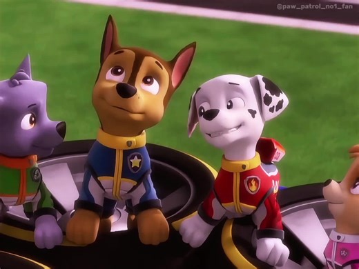 Chase and Marshall's Cute Elevator Moments in Paw Patrol