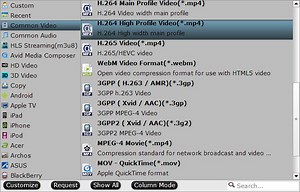 Video File Format For Windows And Mac