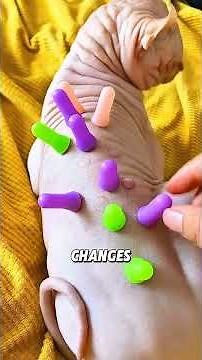 Ancient Egypt's Most Mysterious Landmark: Fun Facts About the Sphinx