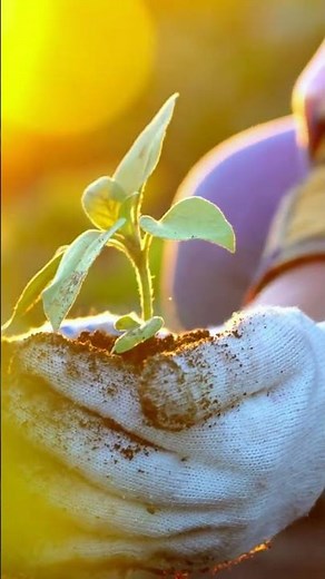 Sustainable Living Made EASY with Habit Tracker