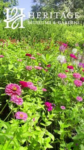 Heritage Museums & Gardens on Reels