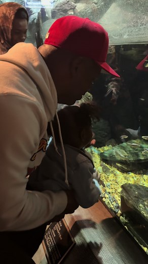 He’s not feeling the fish 😂 #fyp #zoo #fish