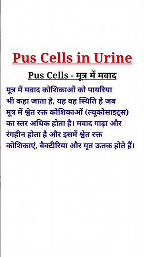 Pus Cells in Urine | Urine Infection #puscells
