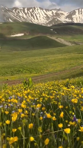 Prime Minister of Albania, Edi Rama, promotes Grama Mountains in Diber with a stunning tourism video