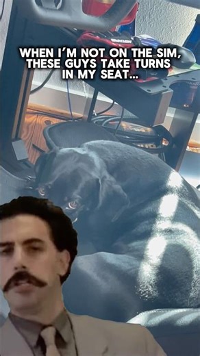 Whenever the sim rig is left unattended…. These guys take turns #happynewyear #simracing #simagic