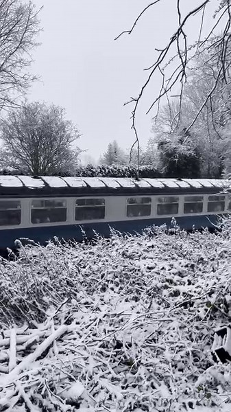 9.8K views · 430 reactions | Turn the sound right up!! Listen to the...