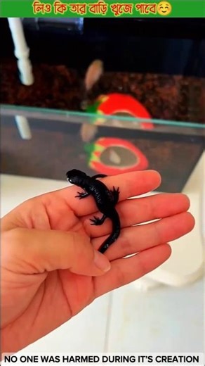 Liyo kothay thakbe 😯 #shorts