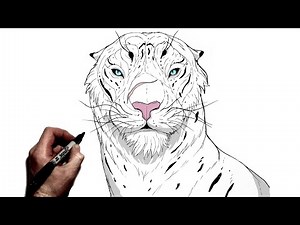 How To Draw A Big Cat | Step By Step |