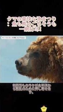 クマの豪快な漁まつり：魚も熊のごちそうも一網打尽！ #ヒグマ #鮭取り #野生動物 #自然の恵み #捕食シーン #tiktok野生 #動物の瞬間
