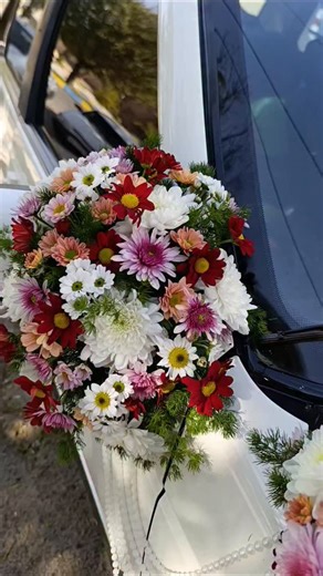‎گـل سـرای پامچال/اسلام آباد غرب‎ on Instagram‎: "دیزاین ماشین عروس با گل‌های داوودی مینیاتوری رنگارنگ شاد و خوشحال در گلسرای پامچال #ماشینعروس_ایرانی #ماشین_عروس_شیک #دسته_گل_عروس💐 #گل_آرایی #شاباد"‎