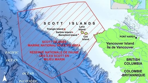 Shell Canada gives up exploration permits to make way for protected area | CBC News