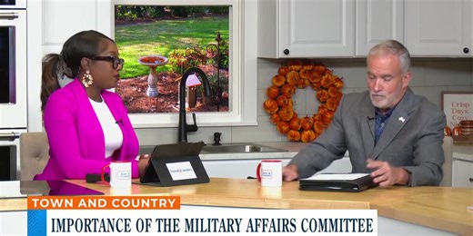 Importance of the Military Affairs Commitee