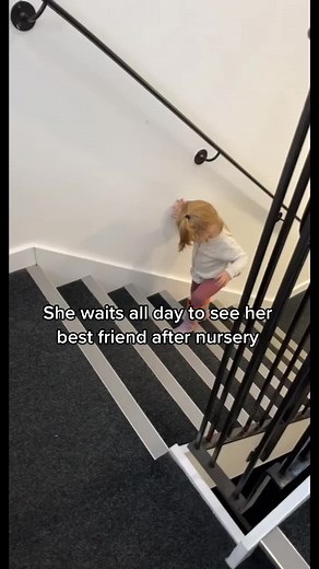 We don’t deserve dogs