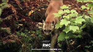 La relève - (S8E6) - Retour à l'instinct primaire - Télé-Loisirs