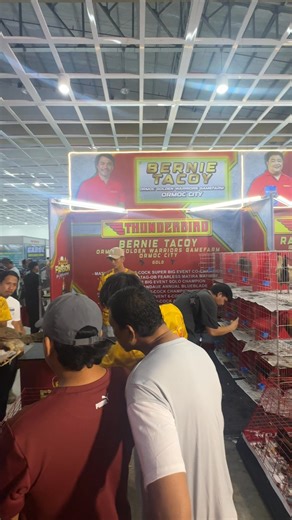 90K views · 2.3K reactions | Cebu National Gamefowl Expo Day 1. Visit our booth, booth #49 OGW Gamefarm | OGW Bondari Peak Gamefarm | Facebook