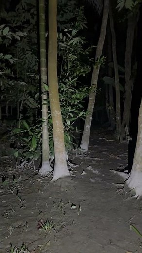 Ghost Live highlight #horror