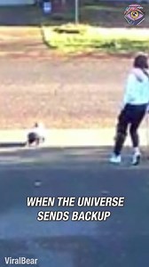 Hero delivery driver stops to save my toddler #fblifestyle | Parentips