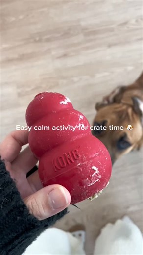 Jen on Instagram: "A simple calm crate treat 🐾 Ingredients: • Kibble • Plain, unsweetened Greek yogurt Mix > fill > freeze 2-3 hours > enjoy! Great for crate time, rest days, or a little mental stimulation 😊 #cratetraining #dogsitterlife #canecorsopuppy"
