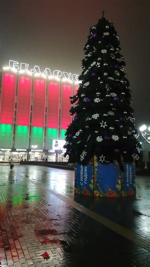 🎄#новыйгод 🎉#minsk #live #night #christmas #shorts