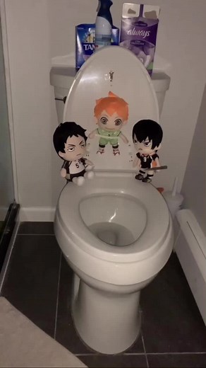 #haikyuu #haikyu #haikyuuplush #anime #weeb #hinata #kageyama #akaashi #weebs #hinataplush #akaashiplush #kageyamaplush #animeboys #animes