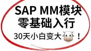 采购 仓储 供应链转行SAP实施顾问必看 物料管理 MM模块入行学习教程 SAP顾问强烈推荐 入行指导